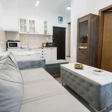 Apartment Vica *